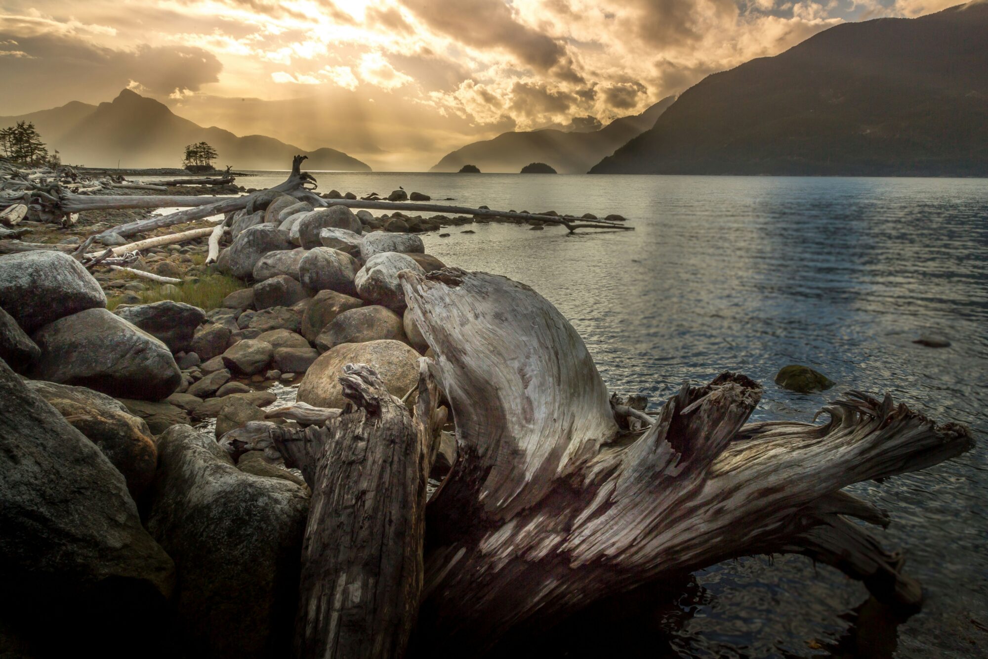 Photography by Alex Guillaume on Unsplash