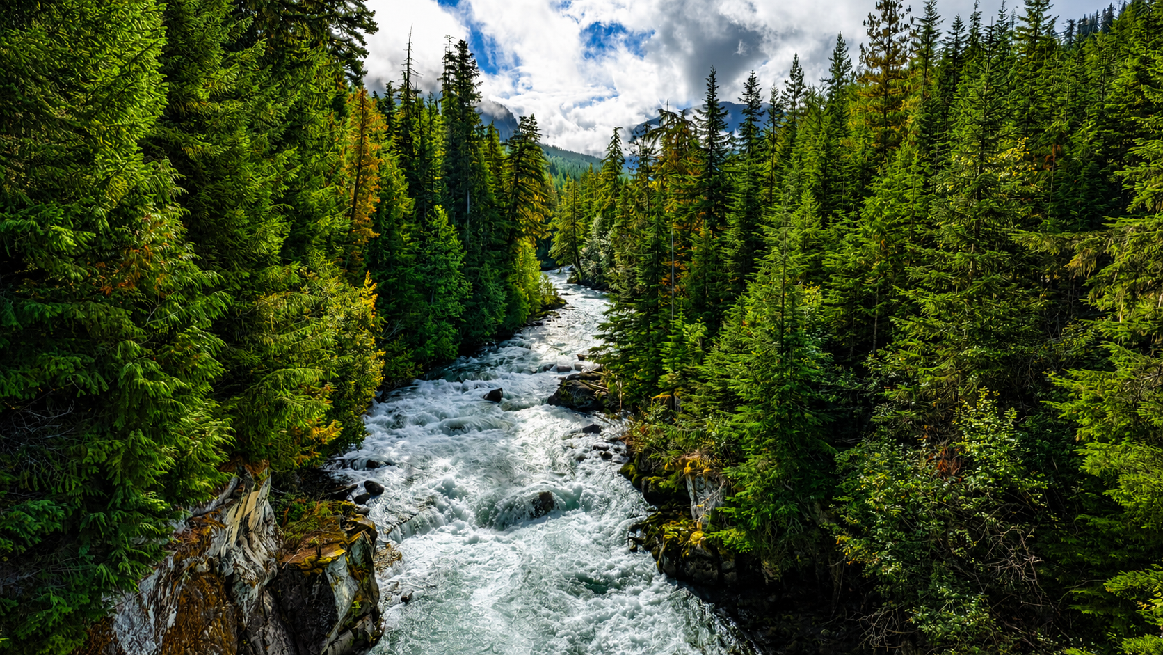 Photography by Daniel John on Unsplash