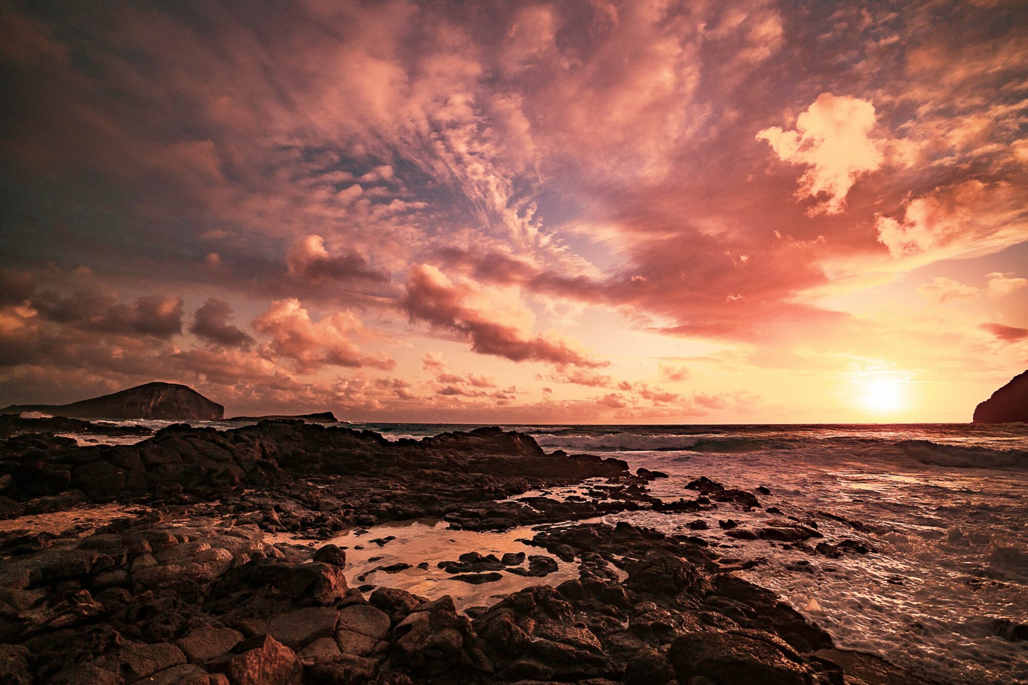 Photo by Jessica Wong on Unsplash