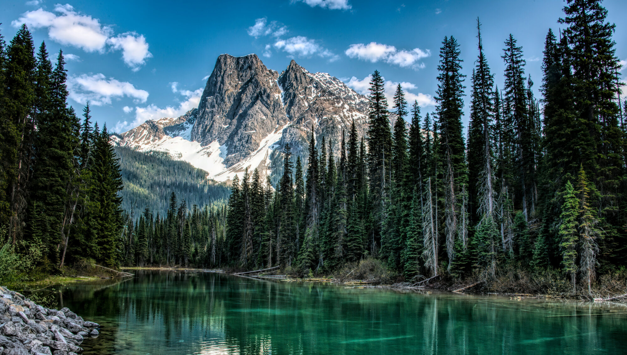 Photography by Trevor McKinnon