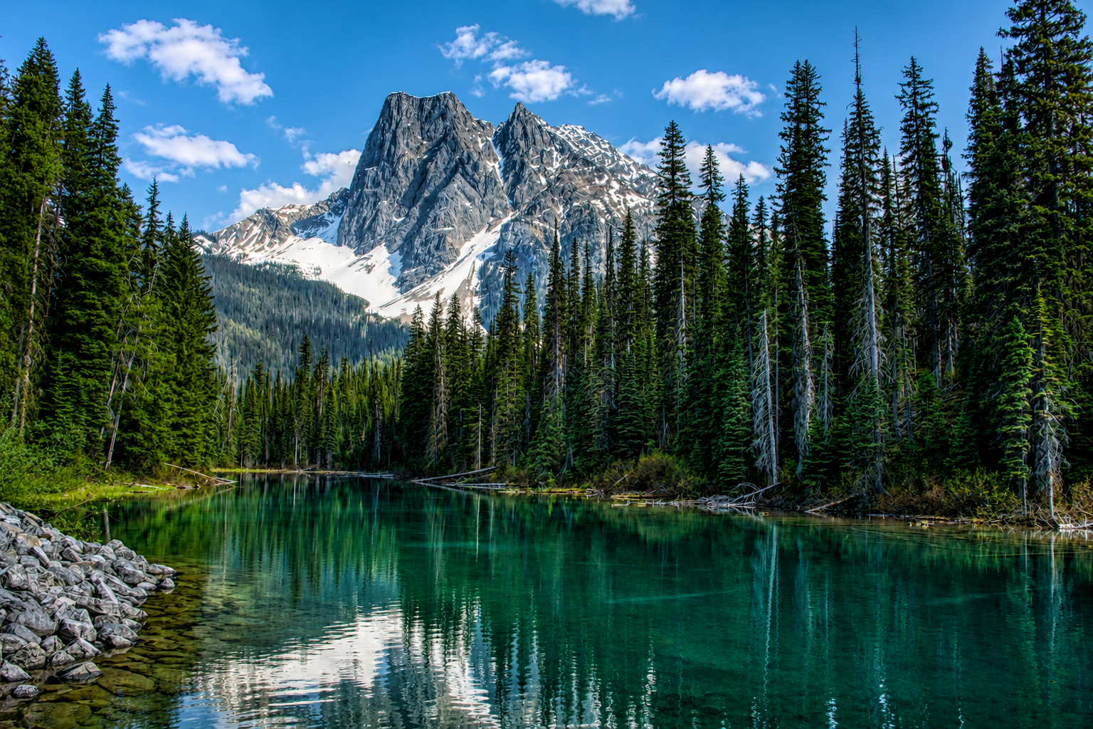 Photography by Trevor McKinnon